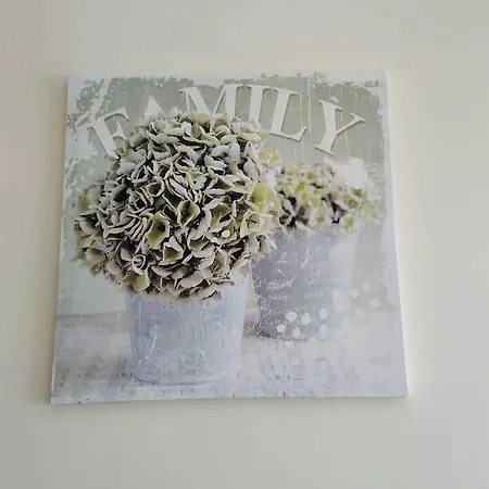 Appartamento Casa Avo Rosa *