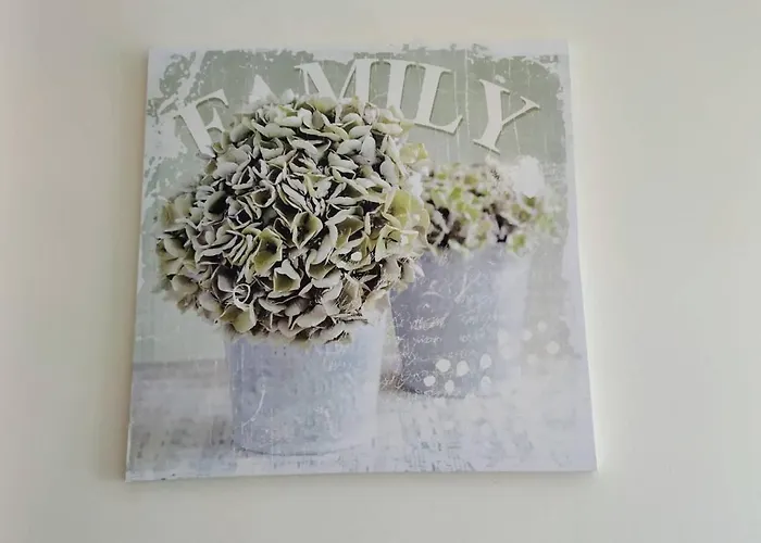 شقة Casa Avo Rosa *