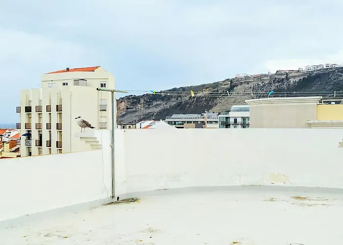 Casa Avo Rosa شقة نازاريه